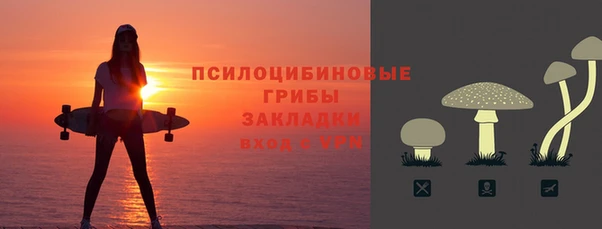 сатива Армянск
