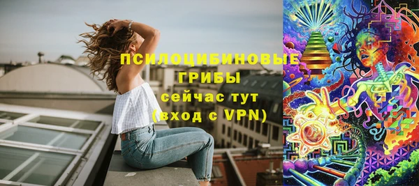 тгк Аркадак