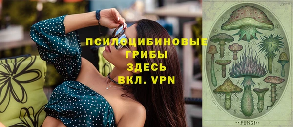 тгк Аркадак