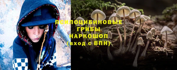 сатива Армянск