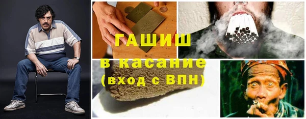 сатива Армянск