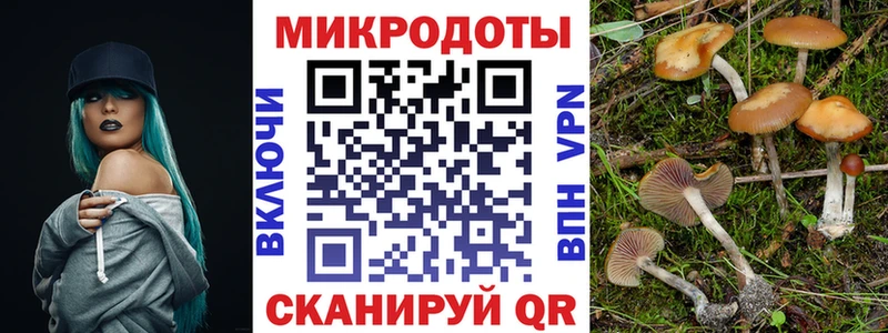 Псилоцибиновые грибы мицелий kraken tor Ивдель купить наркоту